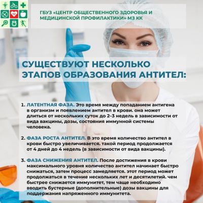 Образование антител